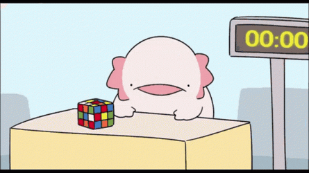 Playing Rubiks Cube Axolotl Meme GIF