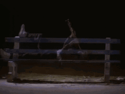 Playing Saxophone On The Bench GIF