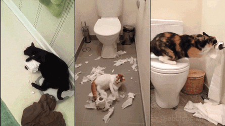 Playing Tissue Paper Moving Cat  GIF