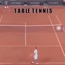 Playing With Literal Table Tennis GIF