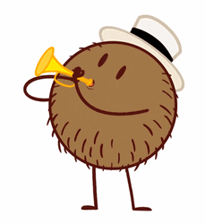 Playkids Coconut Kid Happy Moment GIF