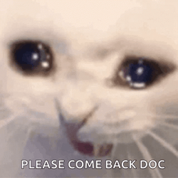 Please Come Back Doc Crying Cat Meme GIF