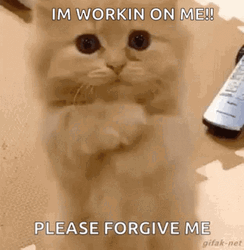 Please Forgive Me Kitty GIF