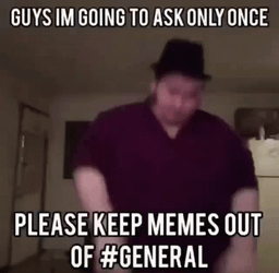 Please Keep Memes Out Tuesday Meme GIF