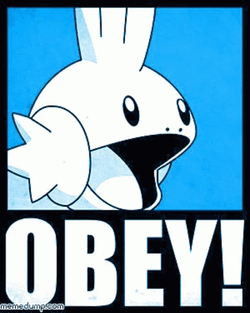 Please Obey Mudkip GIF