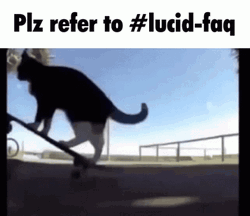 Please Refer To Lucid Faq GIF