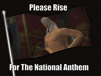 Please Rise For National Anthem GIF
