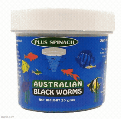 Plus Spinach Australian Black Worms 25G GIF