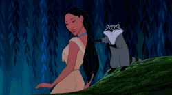 Pocahontas And Meeko Friendship
