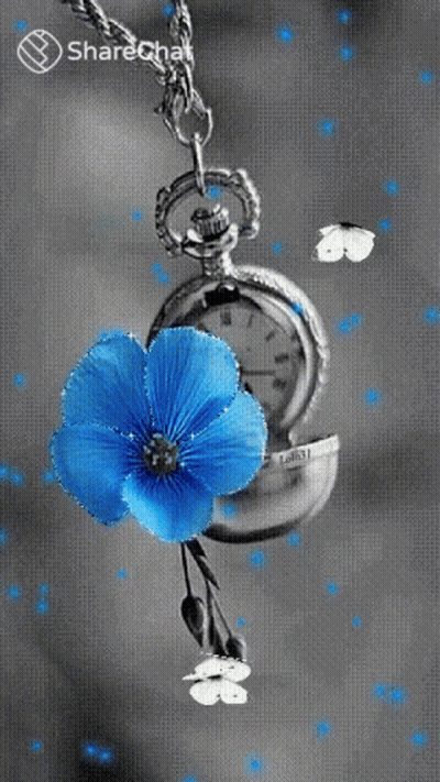 Pocket Watch And Blue Flower GIF