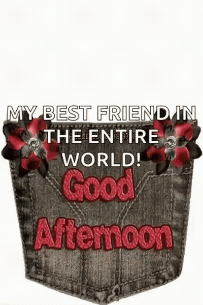 Pocket With Flowers Saying My Best Friend In The Entire World Good Afternoon GIF