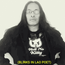 Poet From Laos GIF