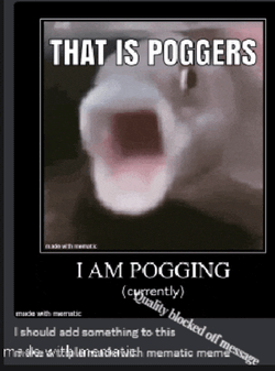 Pogwoggif Gifispronouncedyeif Meme GIF