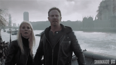 Point Pointing GIF
