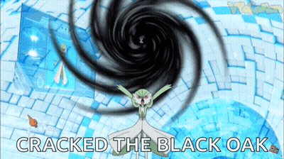 Pokemon Cracked The Black Oak GIF