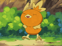 Pokemon Funny Anime Torchic Happy Jump GIF