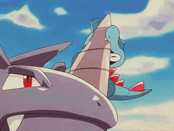 Pokemon Funny Totodile Spin Rhyhorn GIF