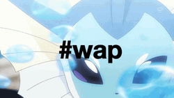 Pokemon Hashtag Wap GIF