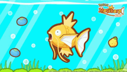 Pokemon Magikarp In An Aquarium GIF
