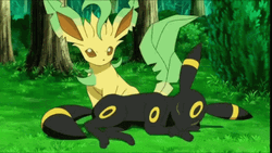 Pokemon Sleeping Umbreon Leafeon GIF