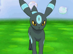 Pokemon Umbreon Bubbles  GIF