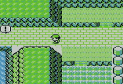 Pokemon Video Game GIF