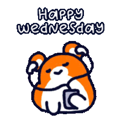 Poki Hamster Sticker GIF