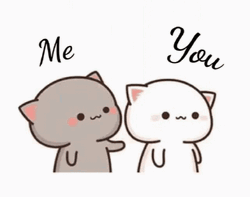 Poking Cat Kiss You GIF