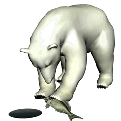 Polar Bear 3D Catching Fish  GIF