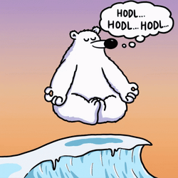 Polar Bear Floating Hodl GIF