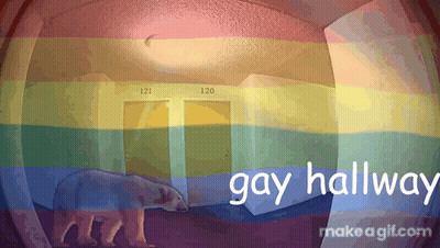 Polar Bear In Hallway Saying Gay Hallway GIF