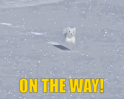 Polar Bear In Snow Saying On The Way GIF