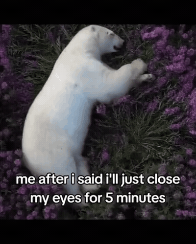 Polar Bear Laying In Purple Flowers Me After I Said I'll Just Close My Eyes GIF