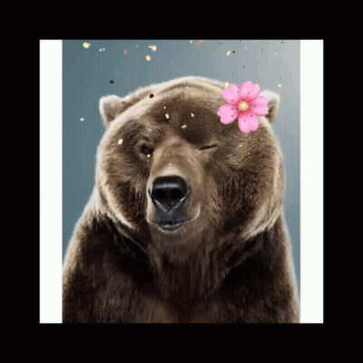 Polar Bear Laying On Back In Snow With Smiley Face Saying To GIF