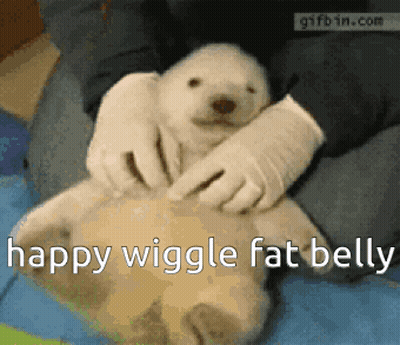 Polar Bear Puppy Held by Person Saying Happy Wiggle Fat Belly
