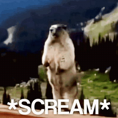Polar Bear Screaming GIF