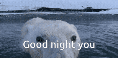 Polar Bear Swimming Saying Good Night You GIF
