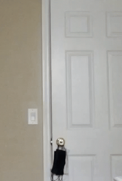 Polar Bear With Hannah Lurking GIF