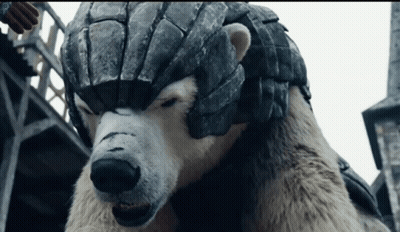 Polar Bear With Helmet Looking At Camera GIF