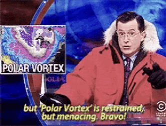 Polar Vortex Puffy Coat GIF