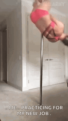 Pole Dancing Me Practicing For My New Job GIF