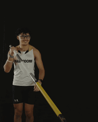 Pole Vault Exercises GIF