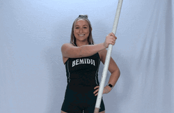 Pole Vault Stand GIF