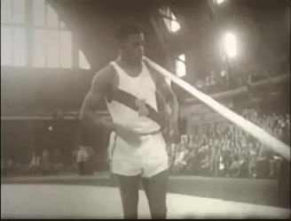 Pole Vault Vaulters GIF