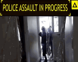 Police Assault In Progress GIF