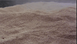 Police Came Out From Under Academy GIF