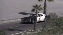 Police Car Cops On Duty GIF