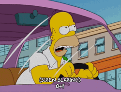 Police Car Lights Homer Simpson GIF