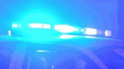 Police Car Lights On Top GIF