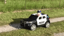 Police Car GIF